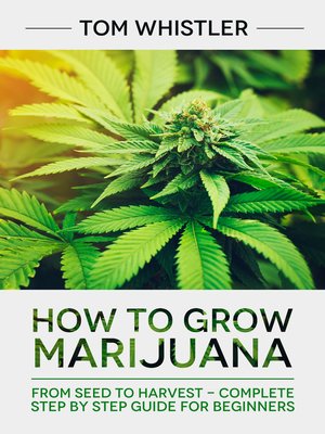 cover image of How to Grow Marijuana